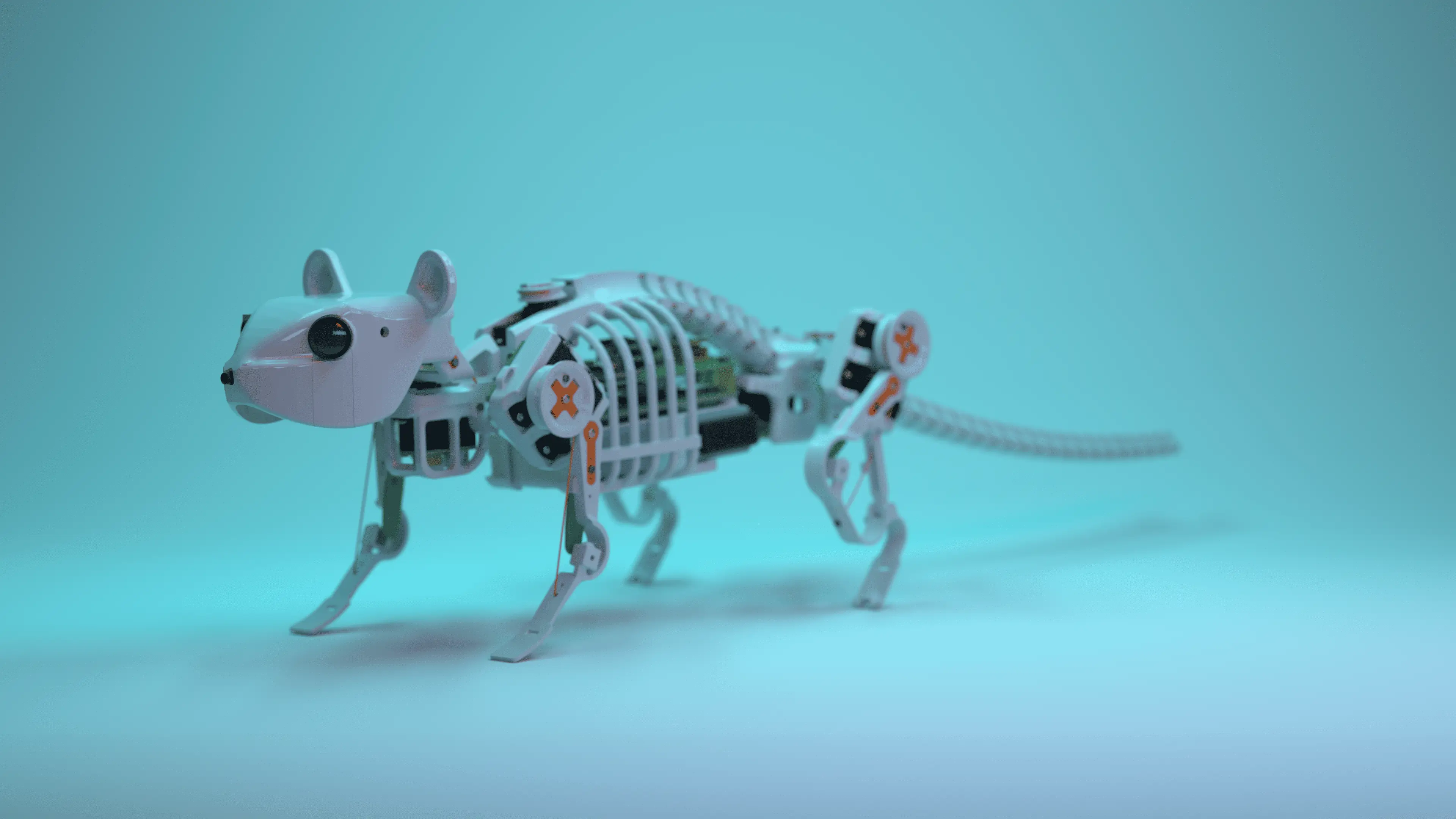 robotic system
